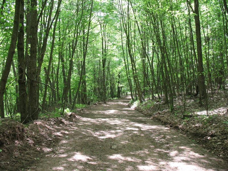 The Mountain Property, Farm for Sale in Pennsylvania, 335543 FARMFLIP