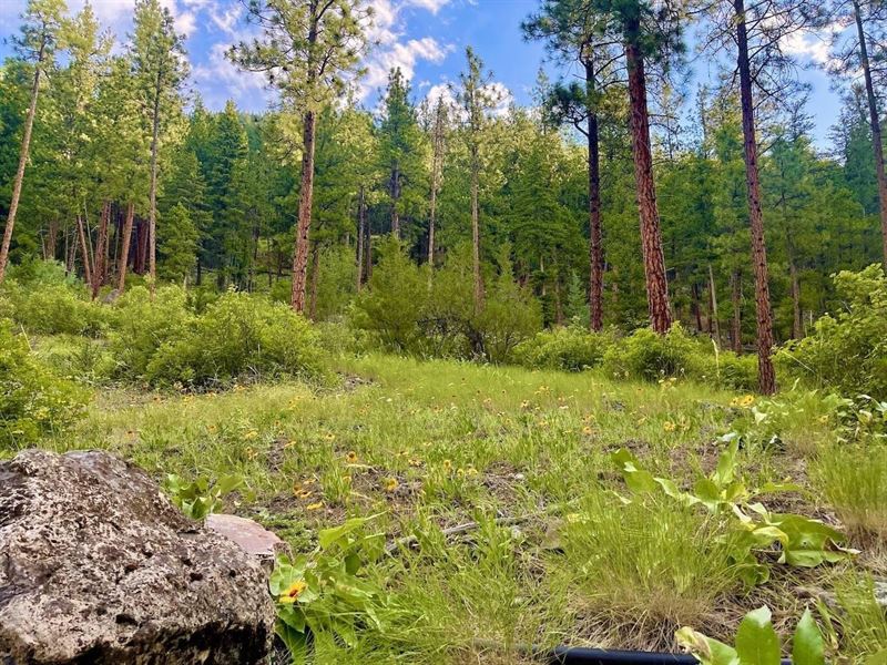 The Timbers at Thompson Ranch Lot 3 : Alberton : Mineral County : Montana