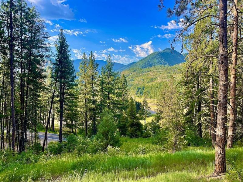 The Timbers at Thompson Ranch Lot 5 : Alberton : Mineral County : Montana