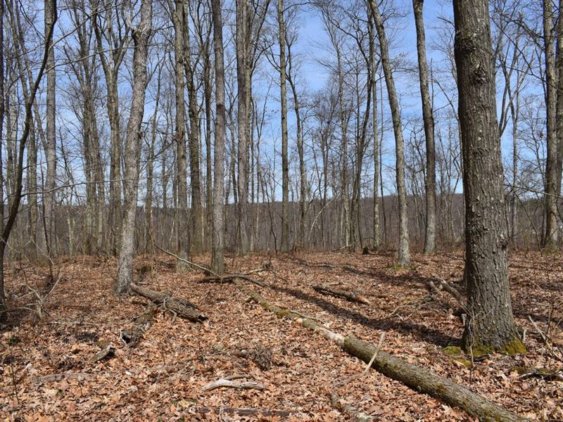 Oak Hill Oasis, Farm for Sale in Pennsylvania, 335622 FARMFLIP