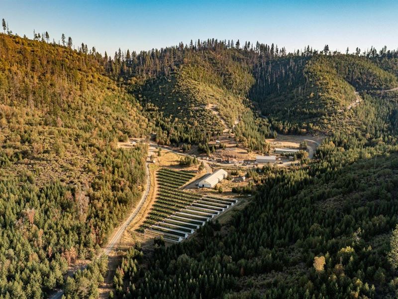 Woodrat Mountain Farms : Jacksonville : Jackson County : Oregon