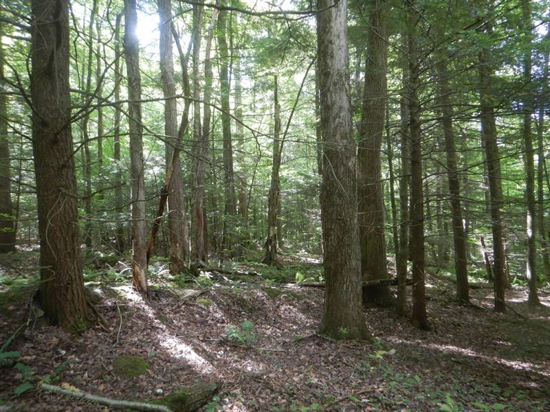 Beaver Dams Beauty, Farm for Sale in New York, 335722 FARMFLIP