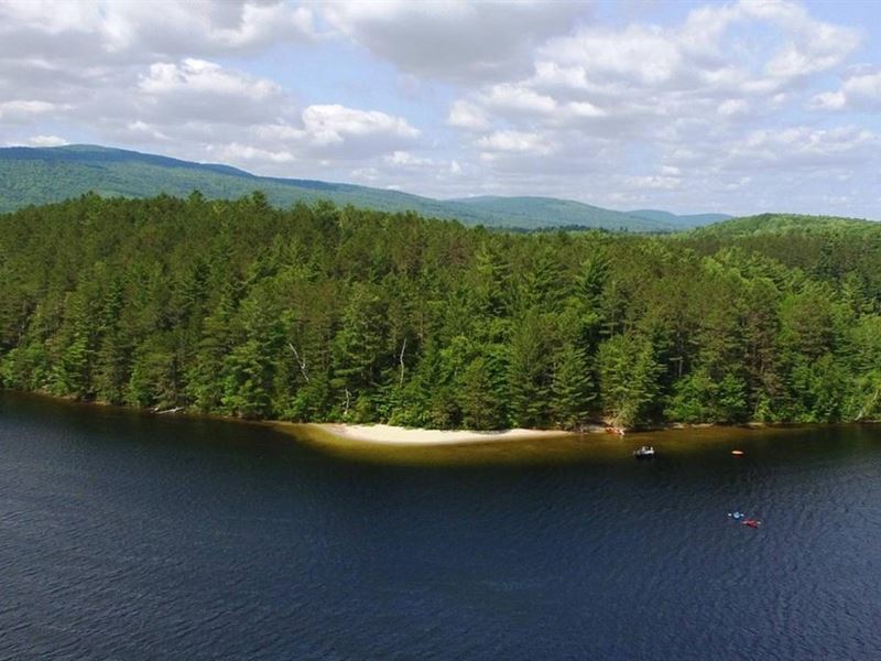 Pine Island : Brighton : Essex County : Vermont