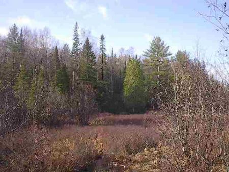Tbd Dishno Rd Mls 1042718 : Humboldt : Marquette County : Michigan