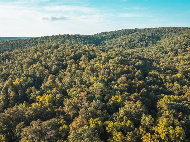 Grubb Holler : Van Buren : Carter County : Missouri