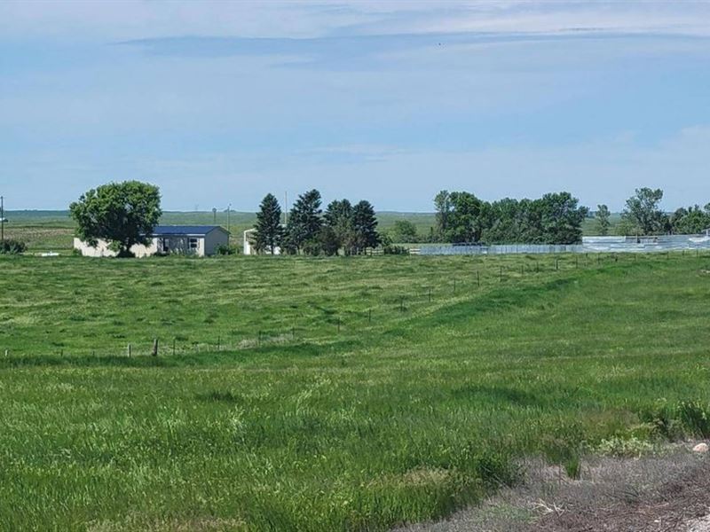 Steele ND Hobby Farm Farm for Sale in Steele, Kidder County, North