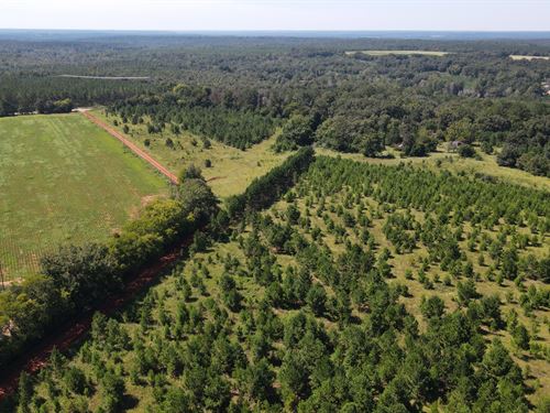Georgia Quail Farms for Sale - FARMFLIP