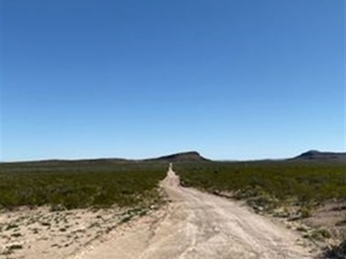 20 Ac No Zoning $0 Down : Sierra Blanca : Hudspeth County : Texas