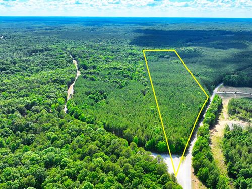 22 Acres Timber Land with Electric : Henderson : Chester County : Tennessee