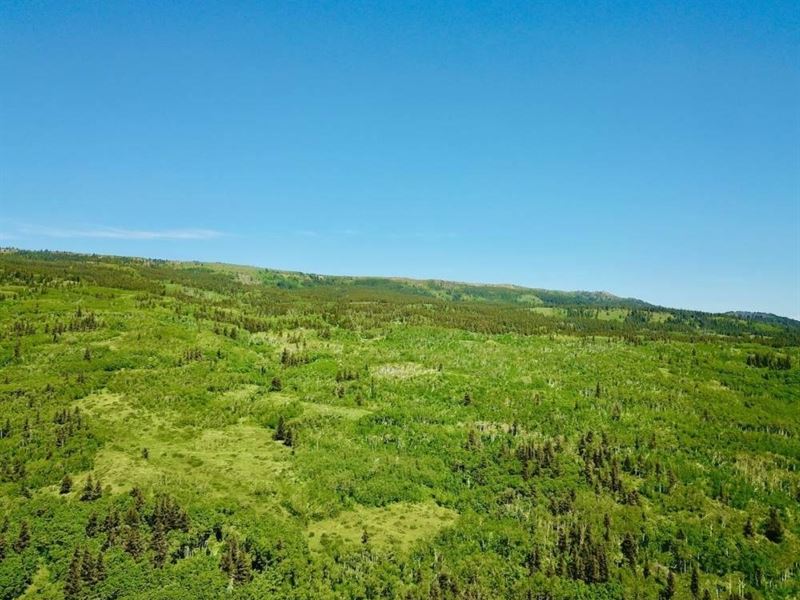 Glorious Glacier Park Views, Montan : Babb : Glacier County : Montana