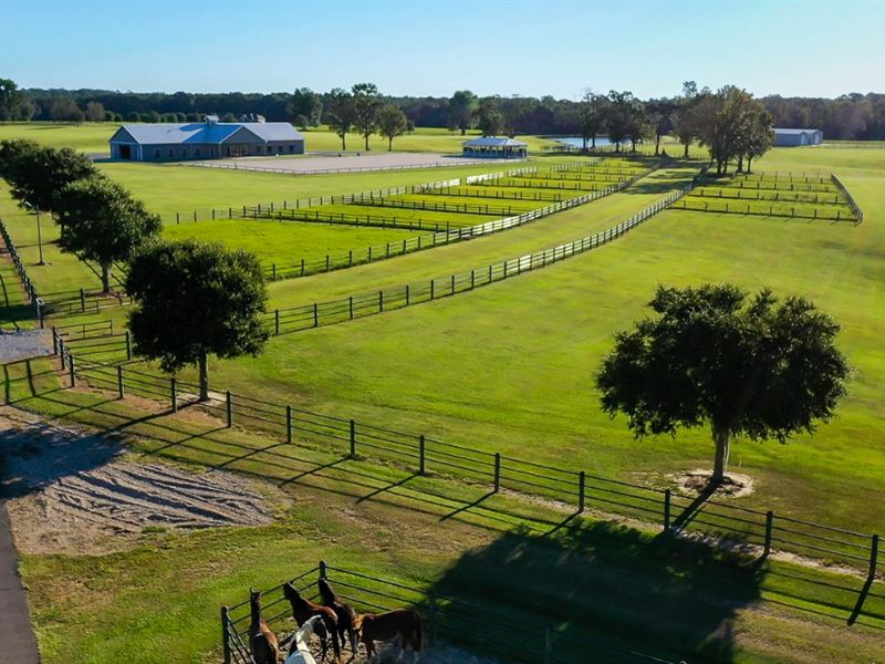 373 Acres Honor Hill Farm in Pear : Poplarville : Pearl River County : Mississippi