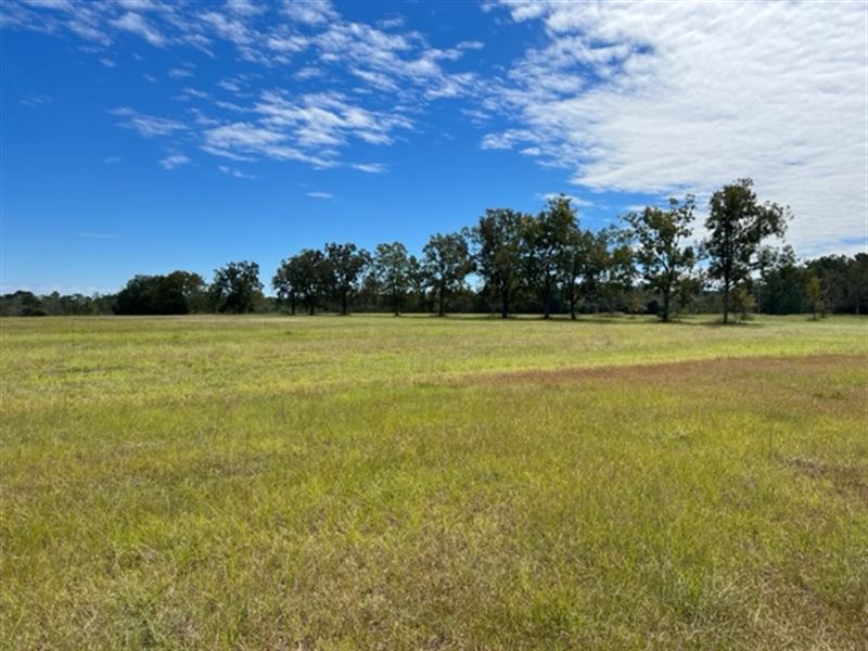 80 Acre Multi-Use Farm : Bainbridge : Decatur County : Georgia