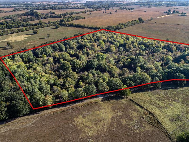 19.67 Wooded Acres Red River County : Clarksville : Red River County : Texas