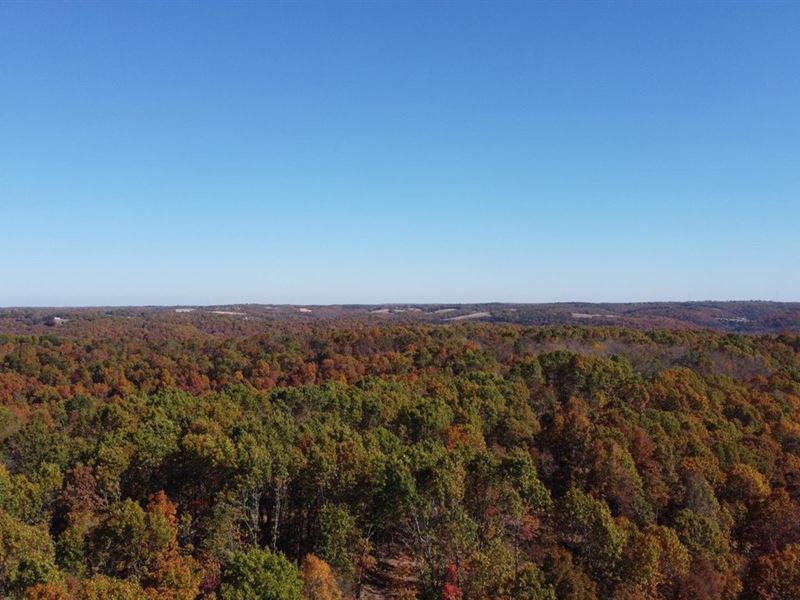 Boone County 160 : Omaha : Boone County : Arkansas