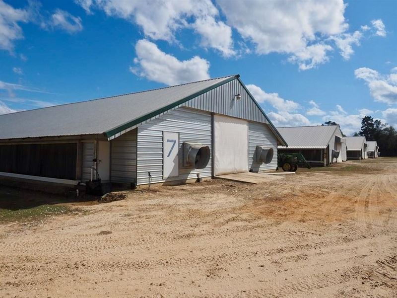Poultry 8 House Broiler Farm 70 Acr, Farm for Sale in Mississippi