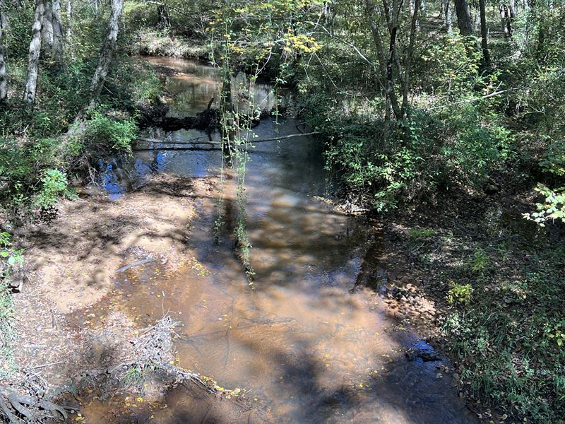 Beautiful Hunting Tract with Creek : Preston : Webster County : Georgia