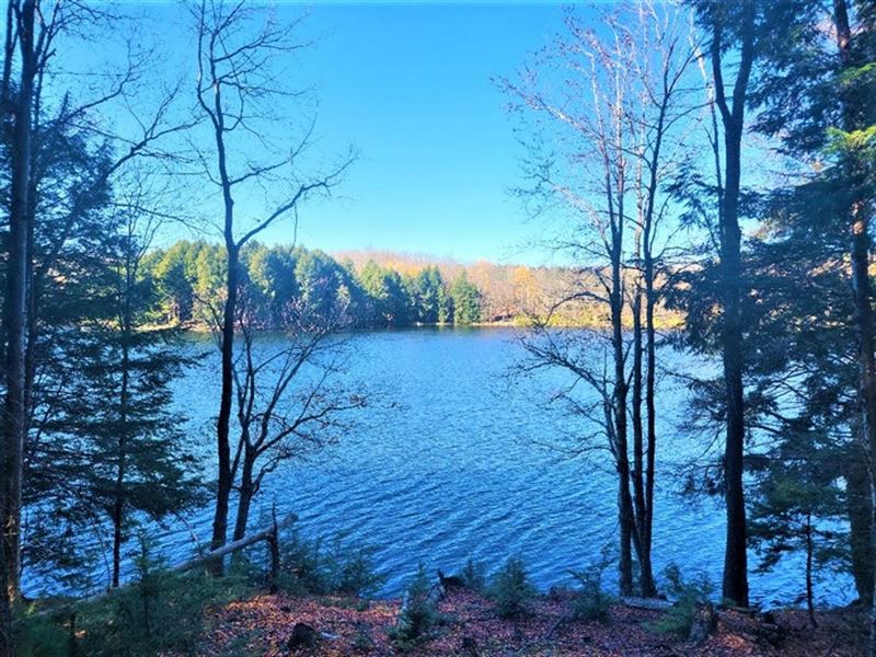 On Beaver Meadow Lake, Farm for Sale in New York, 336230 FARMFLIP