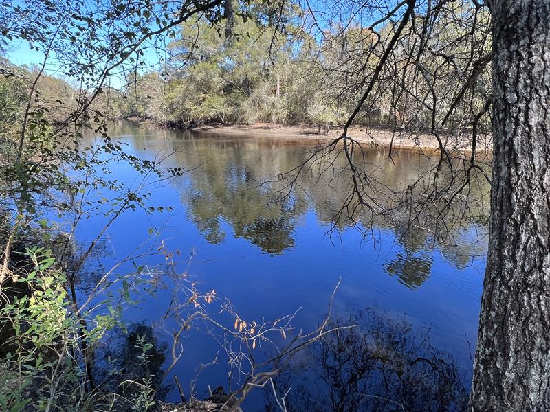 Satilla River Acreage : Nahunta : Brantley County : Georgia