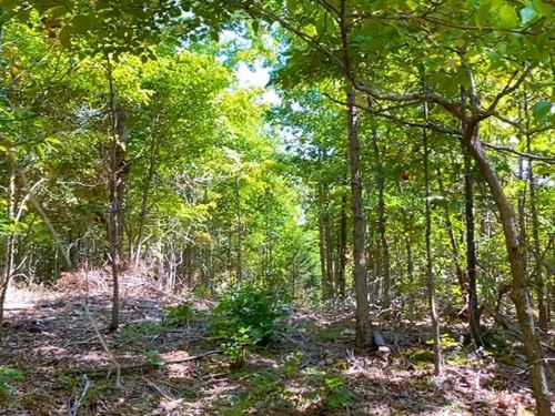 Owner Financed Acreage, The Ozarks : West Plains : Howell County : Missouri