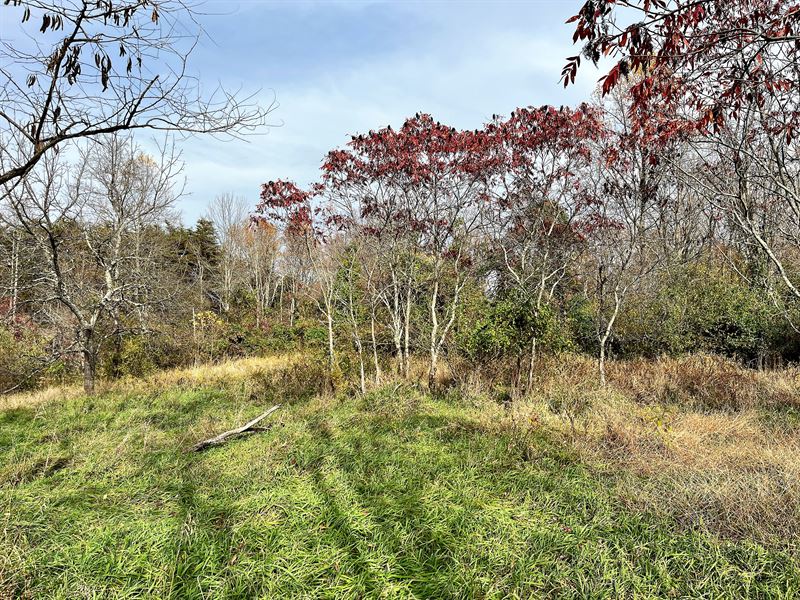 Hocking Hills Acreage for Sale, Farm for Sale in Ohio, 336262 FARMFLIP