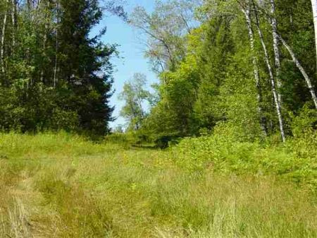 Lot B Nickle Rd Mls 1044299 : Iron River : Iron County : Michigan