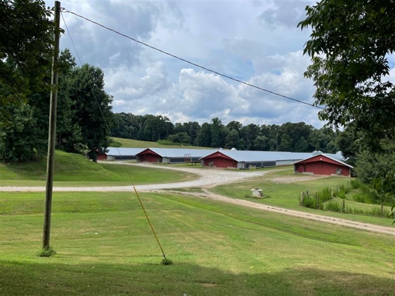 Top Producing Broiler Farm, Farm for Sale in 336342 FARMFLIP