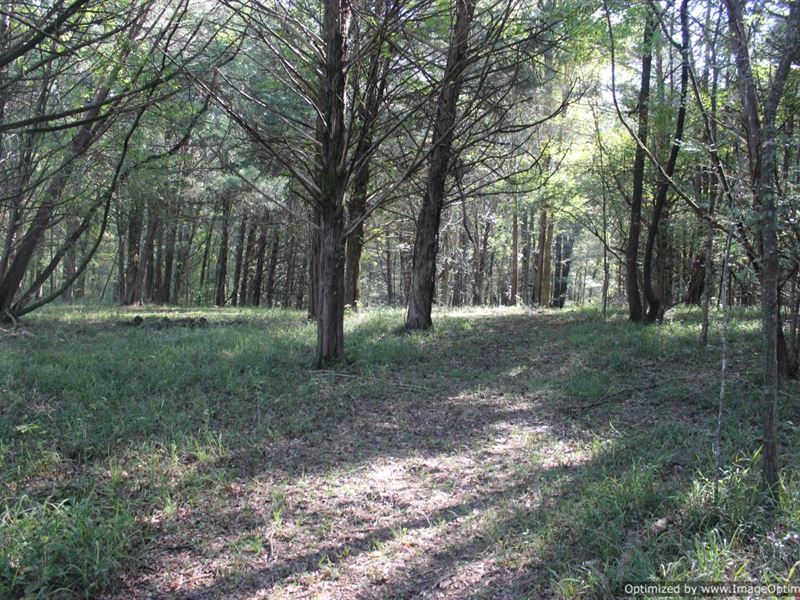 18.3 AC in Hinds County, MS : Clinton : Hinds County : Mississippi