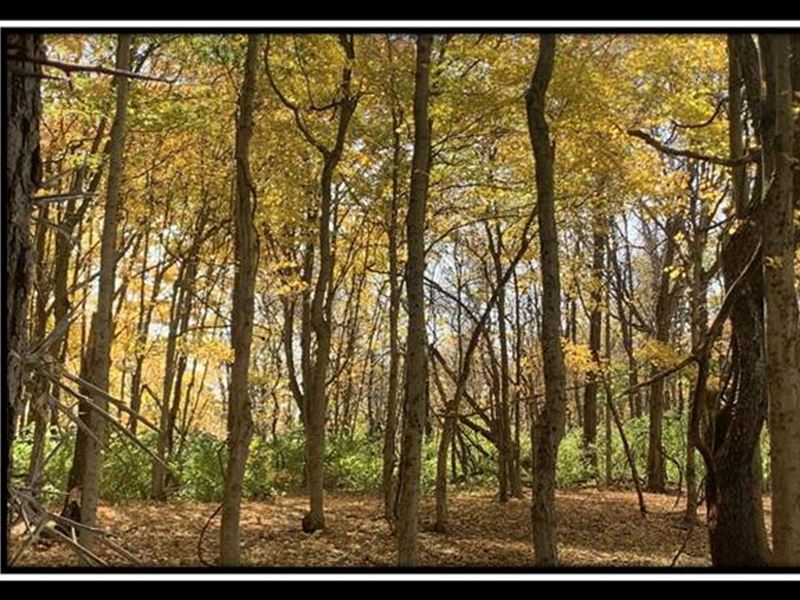 4365 Egypt Pike, Farm for Sale in Ohio, 336373 FARMFLIP