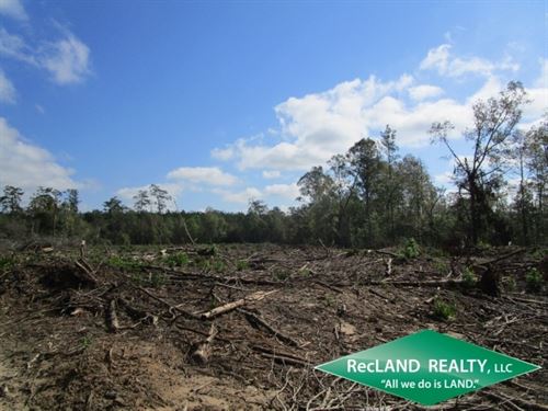 10 Ac, Multiple Wooded Home Site : Jasper : Texas