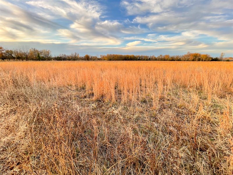 Hobby Farm and Development : Webb City : Jasper County : Missouri