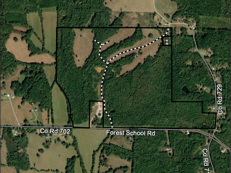 Ferrell Tract : Corinth : Alcorn County : Mississippi