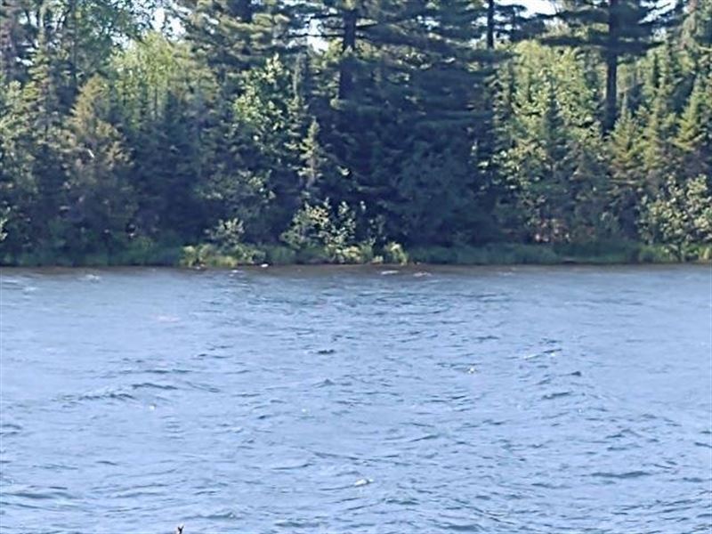 Secluded Fence Lake, Lot 15 : Michigamme : Baraga County : Michigan