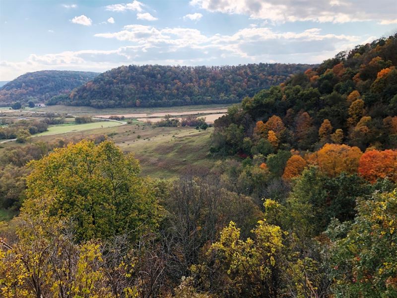 Hunt, Fish, Build, Relax : Richland Center : Richland County : Wisconsin
