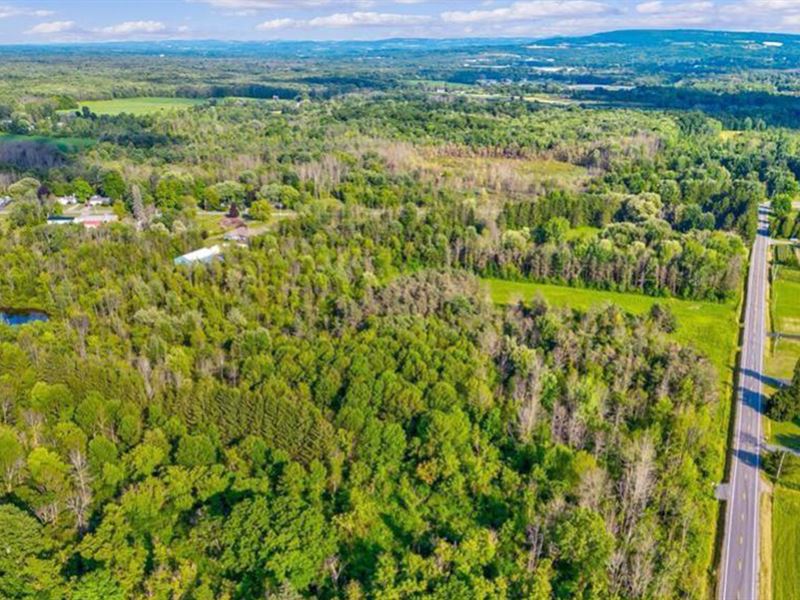 1110K Sqft in Lenox, NY, Farm for Sale by Owner in New York, 336876