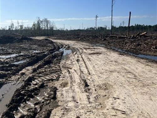 Home Place or Development Potential : Dequincy : Beauregard Parish : Louisiana