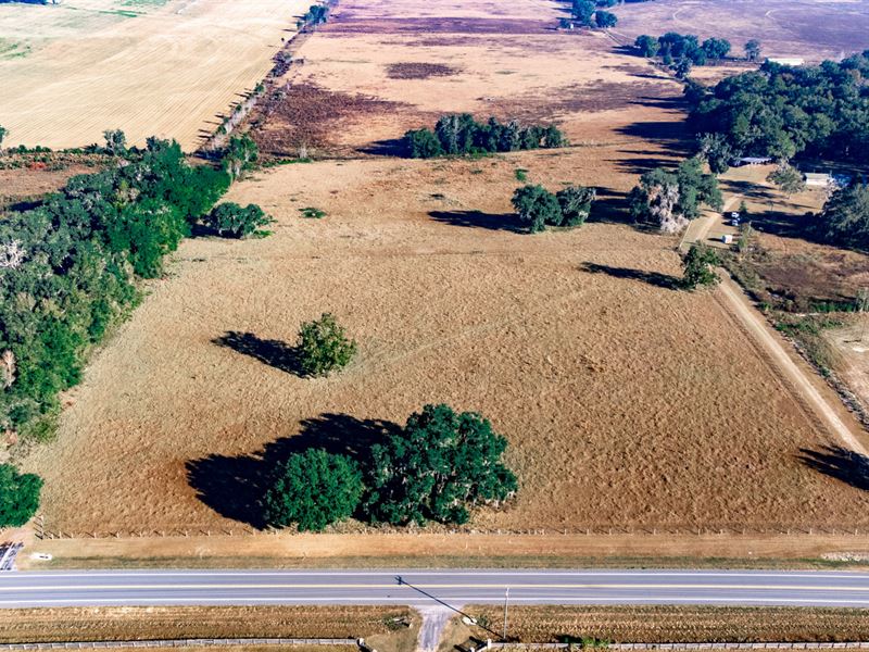 20 Ac Pasture w Gorgeous Views : Madison : Madison County : Florida