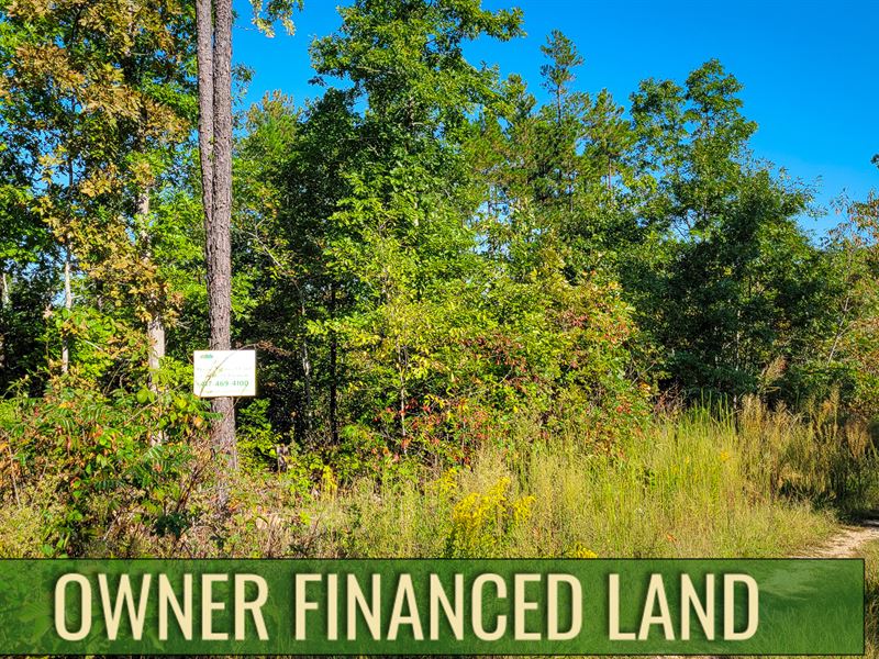 Deer and Turkey Abound : Birch Tree : Shannon County : Missouri