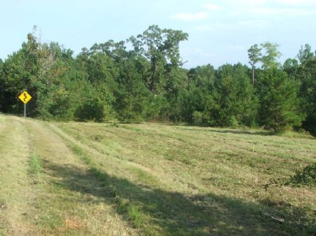 28.13 Acres Of Black Belt Hunting : Valley Grande : Dallas County : Alabama
