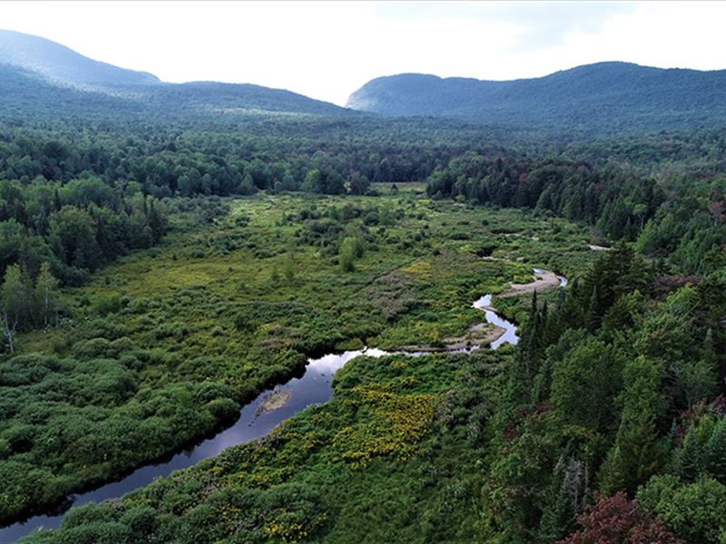 Wade Brook Forest : Lowell : Orleans County : Vermont
