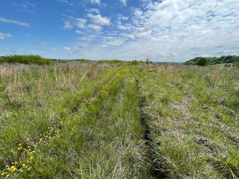 Cheap Recreation Hunting Land, Farm for Sale in Alabama, 337085 FARMFLIP