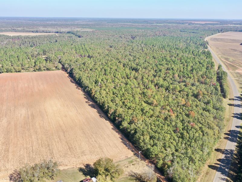 Cabin in The Woods : Dawson : Terrell County : Georgia