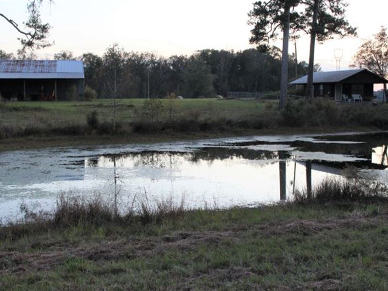 Great Farm and Home with Extras : Fort Deposit : Lowndes County : Alabama