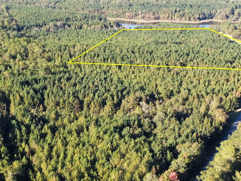 Amazing Opportunity, Farm for Sale by Owner in Alabama, 337162 FARMFLIP