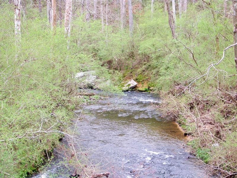 Scarham Creek Tract : Crossville : Dekalb County : Alabama