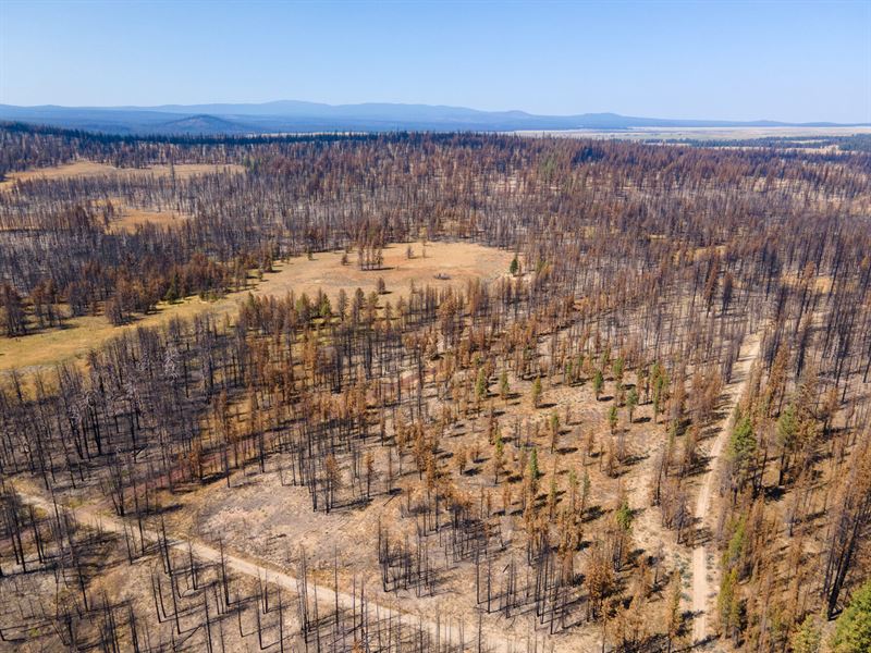 Wooded with Mountainous Views : Bly : Klamath County : Oregon