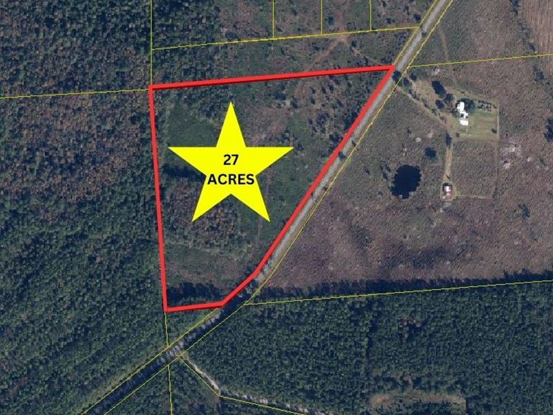 27 AC Land in Union County : Lake Butler : Union County : Florida