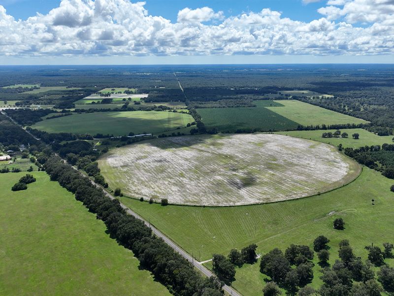 Cox Place Farm : Chiefland : Levy County : Florida