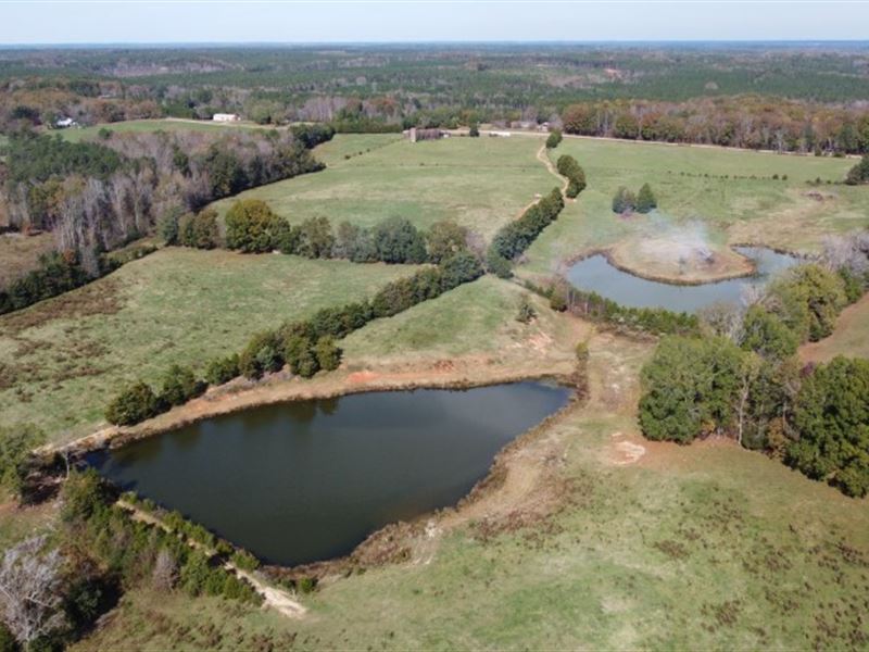 2 Ponds, Pastures, Homesites : Blackstock : Chester County : South Carolina