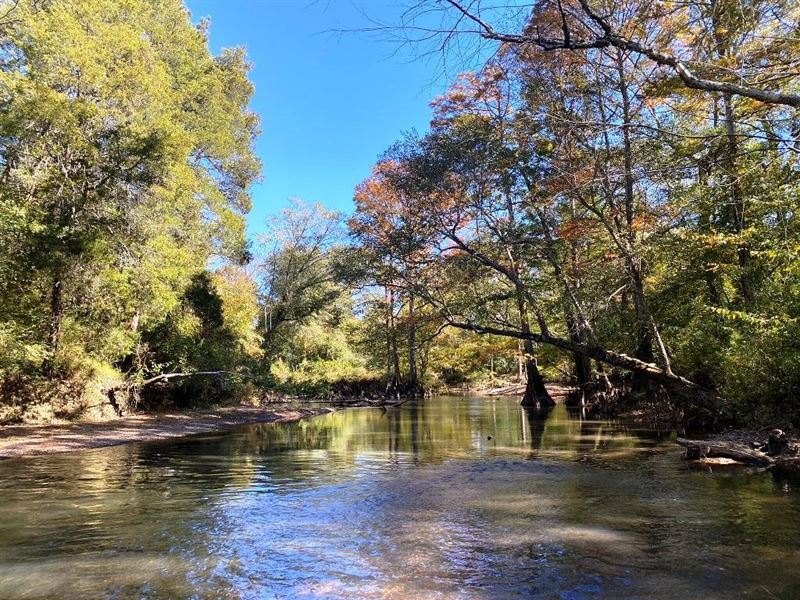 Yellow Creek Farm, Farm for Sale in Mississippi, 337434 FARMFLIP