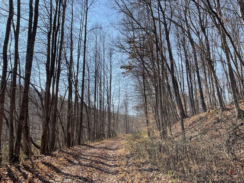 Wooded Pike County, Ohio Land, Farm for Sale in Ohio, 337459 FARMFLIP